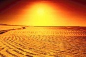 UAE Desert