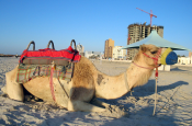 Ajman Beach